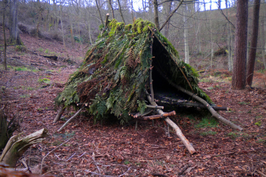 simple-forest-shelter