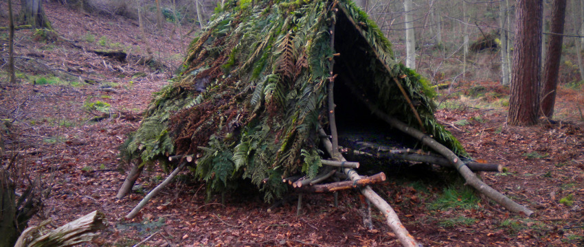 simple-forest-shelter